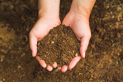 豊かな土壌と土作り